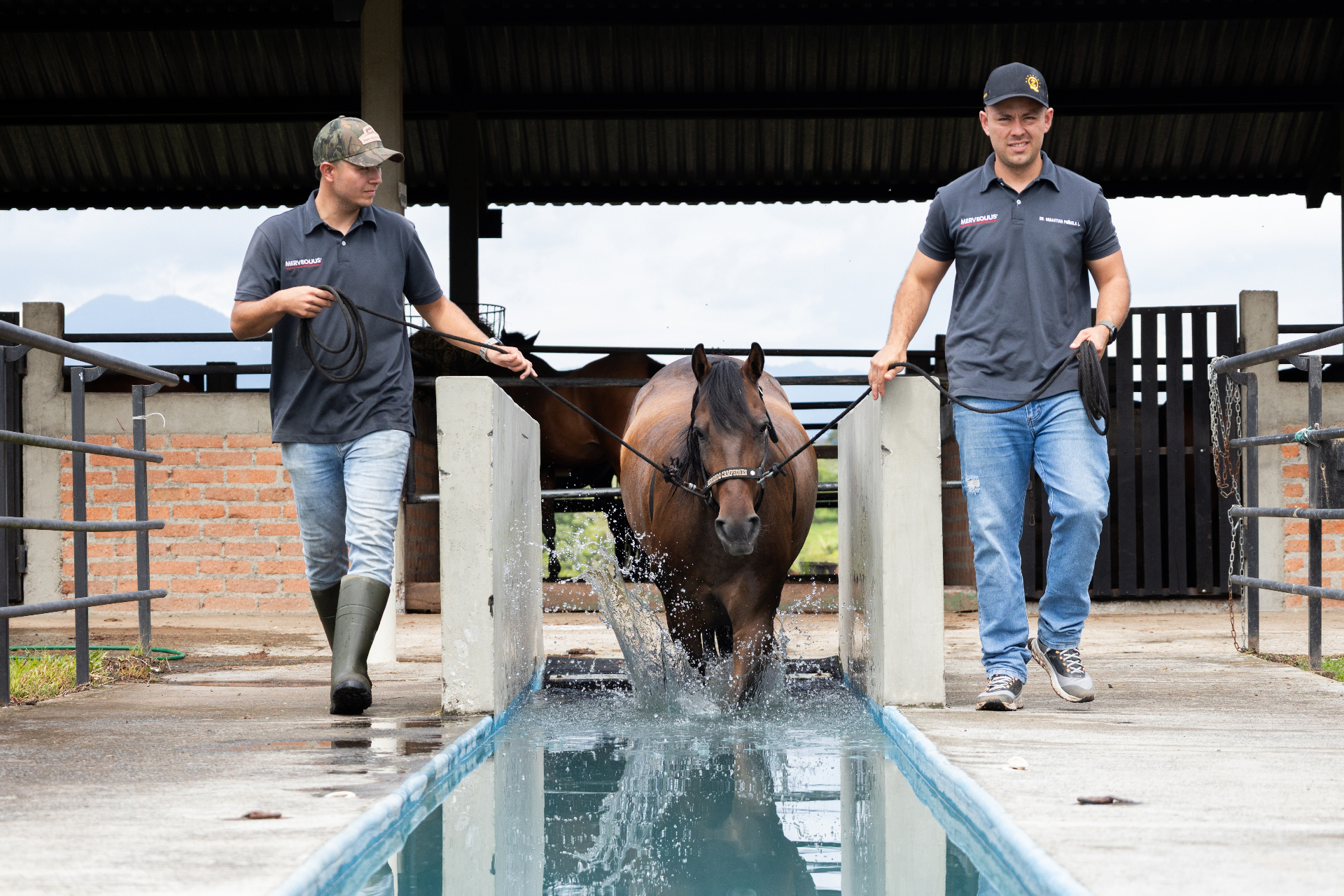 Equipo médico Mervequus